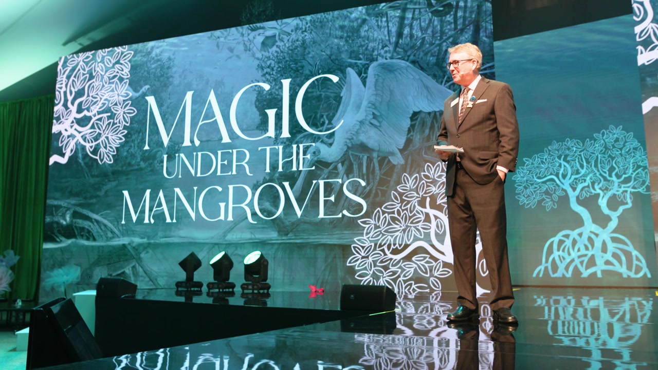 Speaker on the Magic Under the Mangroves stage