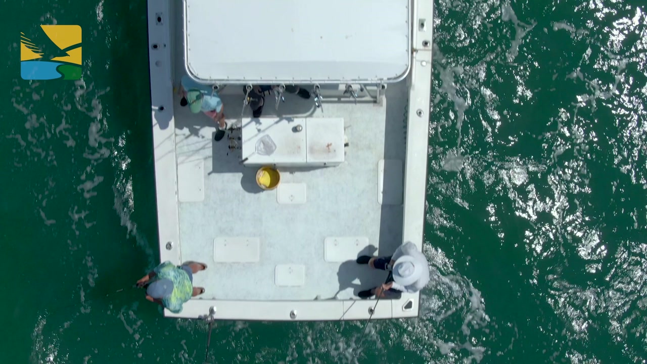 Aerial view of anglers aboard a boat on green water