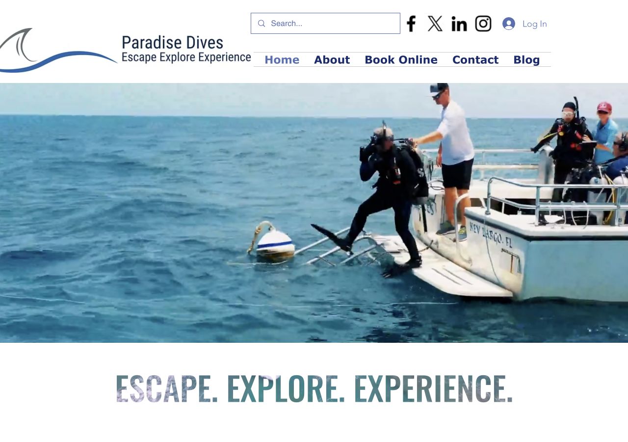 Paradise Dives website as shown in a live browser capture.